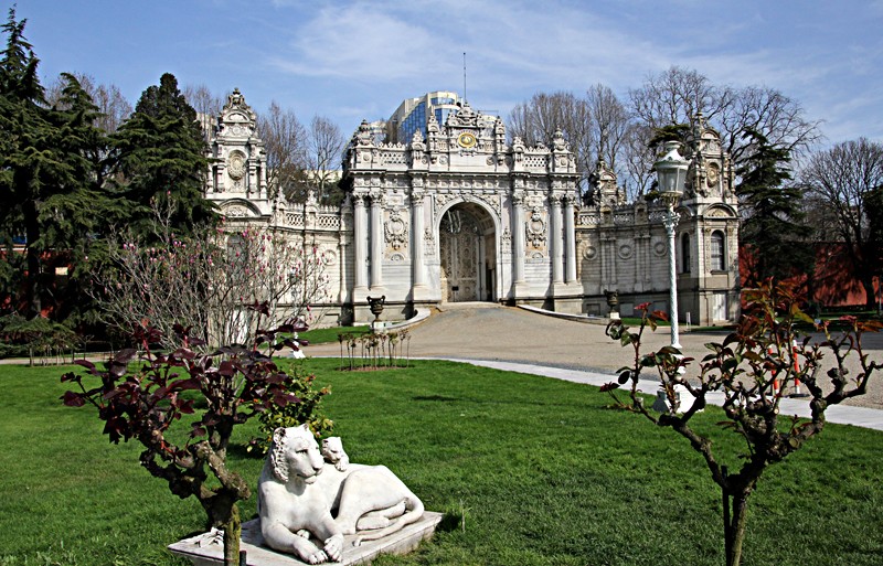 IMG 0874