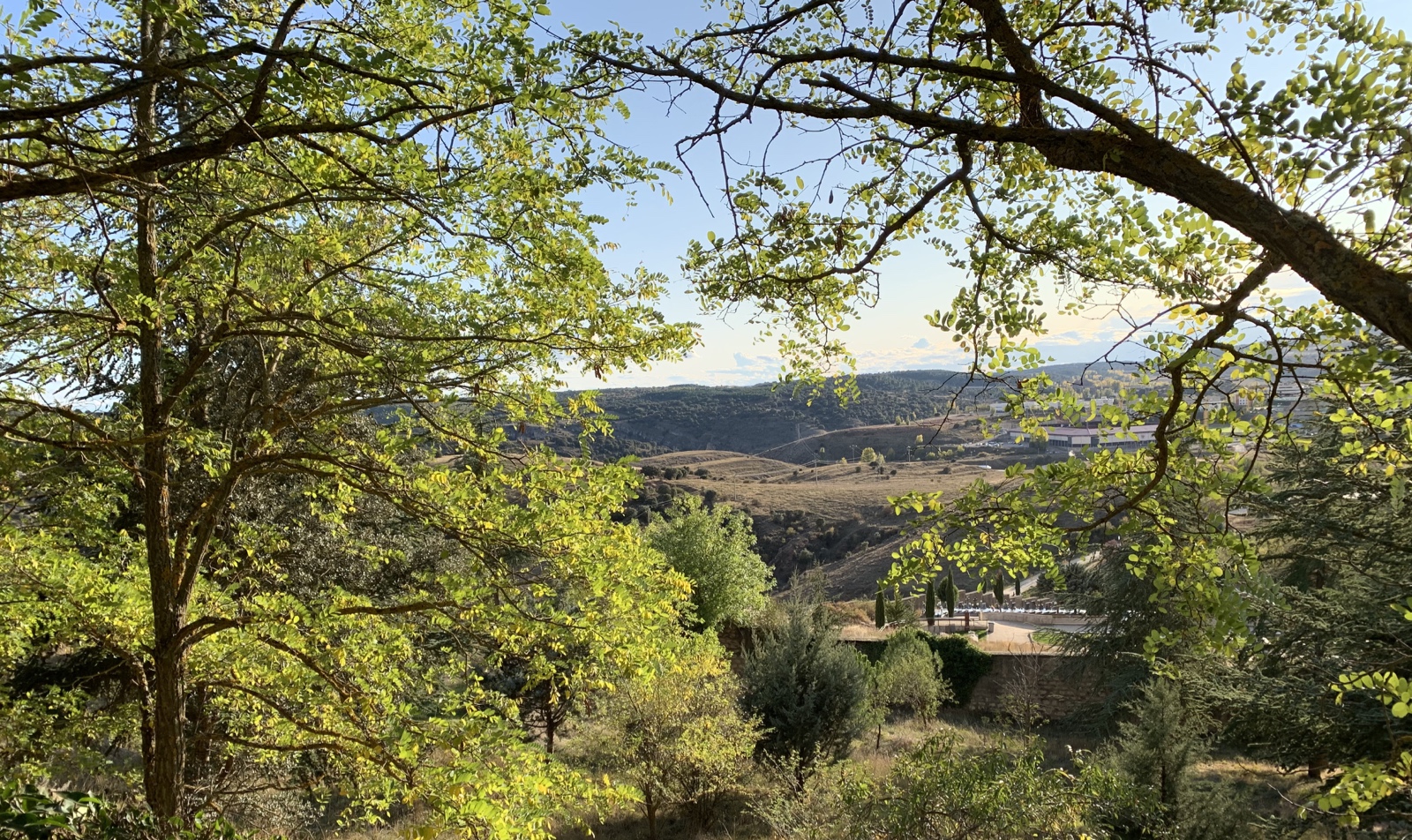 Soria.3