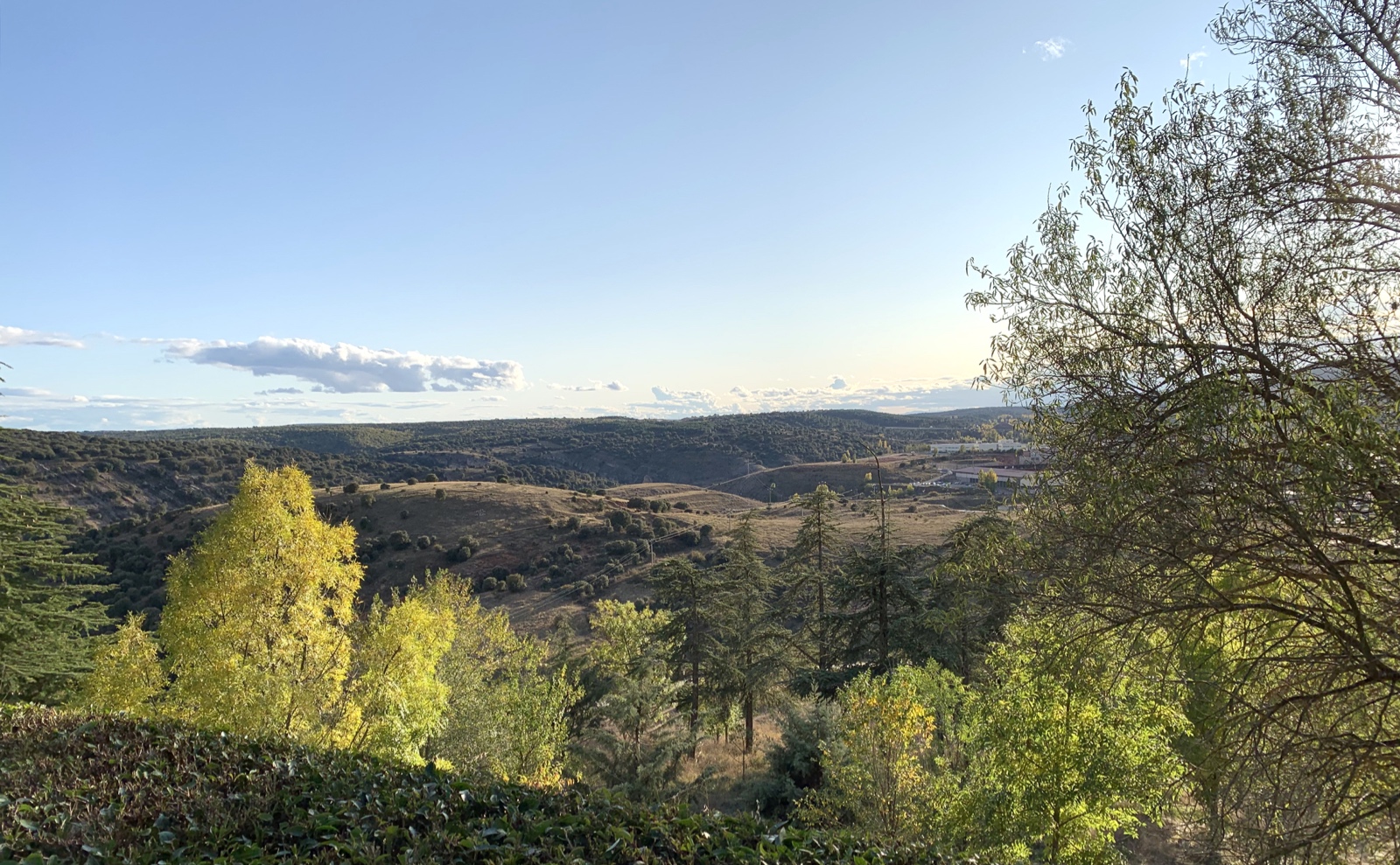 Soria.5