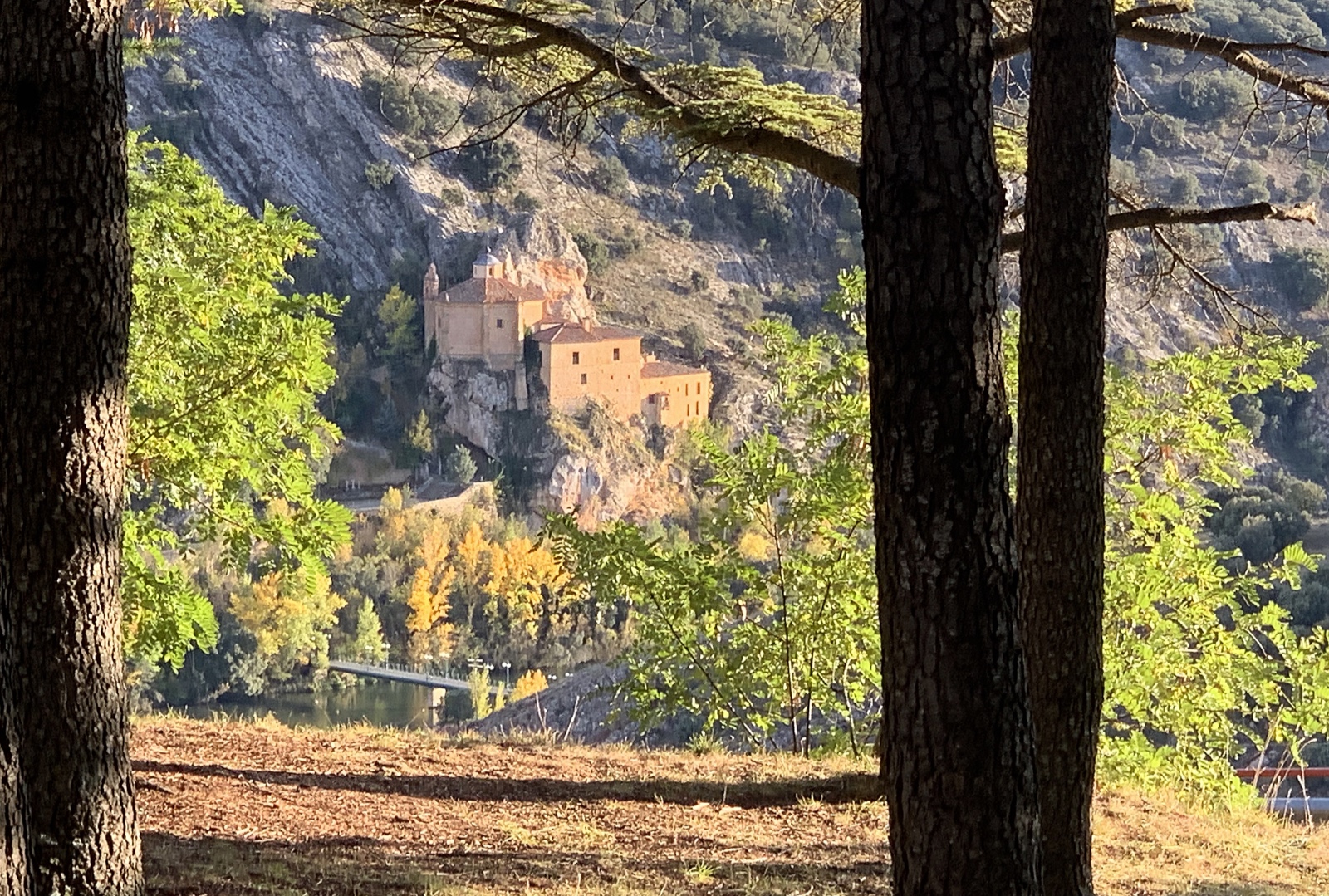 Soria.7